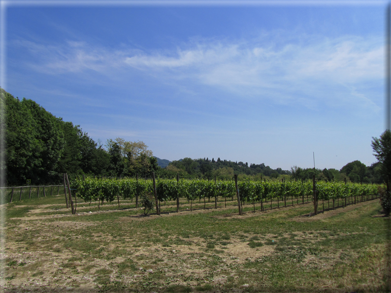 foto Paesaggi Collinari in Primavera